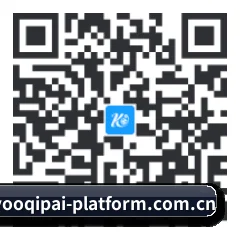 iPhone APP 二维码